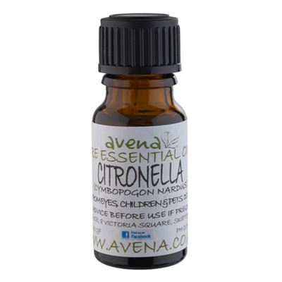 Citronella Essential Oil (Cymbopogon nardus)